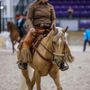 Sun Valley Arabians
