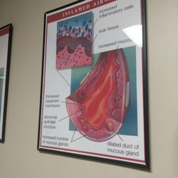 Schafer Gary R MD - In exam room
