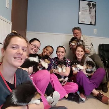 Lincoln Highway Veterinary Clinic - Veterinarians Near Me - Lancaster, Pennsylvania Lincoln Highway Veterinary Clinic - Veterinarians Near Me - Lancaster, Pennsylvania