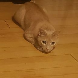 Ceasar Ceasar