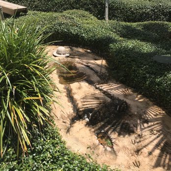 Congo River Golf - Mini Golf Near Me - Clearwater, Florida