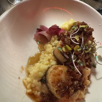 Ruocco’s Restaurant - Scallops - Italian Near Me - Boynton Beach, Florida Ruocco’s Restaurant - Scallops - Italian Near Me - Boynton Beach, Florida