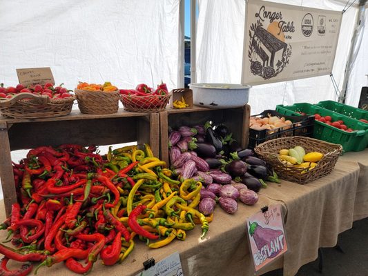 Sunday Marin Farmers' Market by null