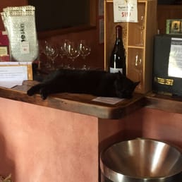 Harry is the boss of the vineyard!