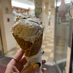 Ice Cream Waffle Cone