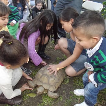 Reptacular Animals - Party & Event Planning Near Me - Sun Valley, California Reptacular Animals - Party & Event Planning Near Me - Sun Valley, California