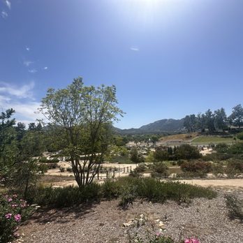 Rose Haven Heritage Garden - Community Gardens Near Me - Temecula, California