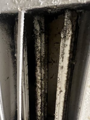 The Interlace Apartments by null