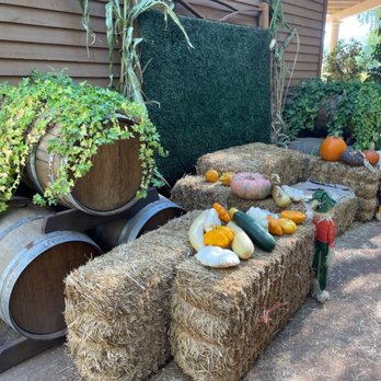 Hawk Ranch - The area set aside for photographing groups, families or couples. - Venues & Event Spaces Near Me - Murrieta, California