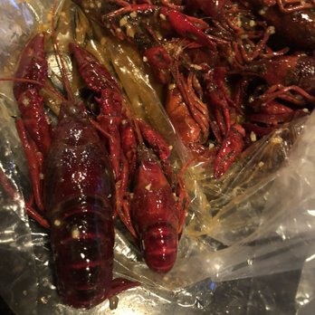 Cajun Craven - 90% were very big - Cajun/Creole Near Me - Houston, Texas Cajun Craven - 90% were very big - Cajun/Creole Near Me - Houston, Texas