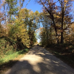 La Forêt de Bouconne