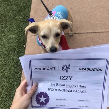 Woof Academy - Pet Training Near Me - Encinitas, California