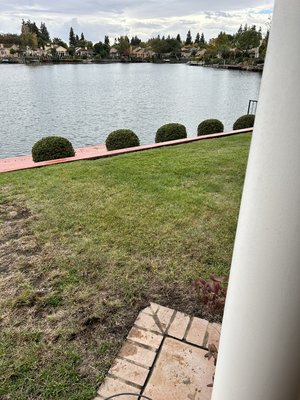 Need a Lawn that Wows? - I’ll turn your yard into a neighborhood gem. BOOK NOW Need a Lawn that Wows? - I’ll turn your yard into a neighborhood gem. BOOK NOW