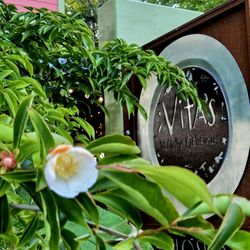 Vita's Wildly Delicious - Vitas Wildly Delicious sign