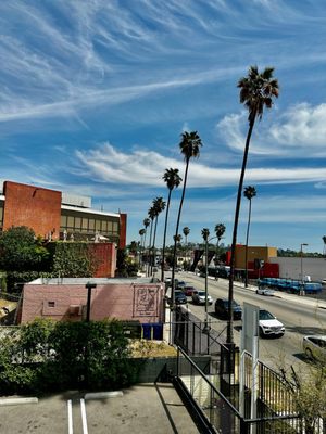 LA KUSH - Cannabis Dispensary by null