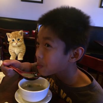 Fukuda - He loves this place - Japanese Near Me - The Woodlands, Texas Fukuda - He loves this place - Japanese Near Me - The Woodlands, Texas