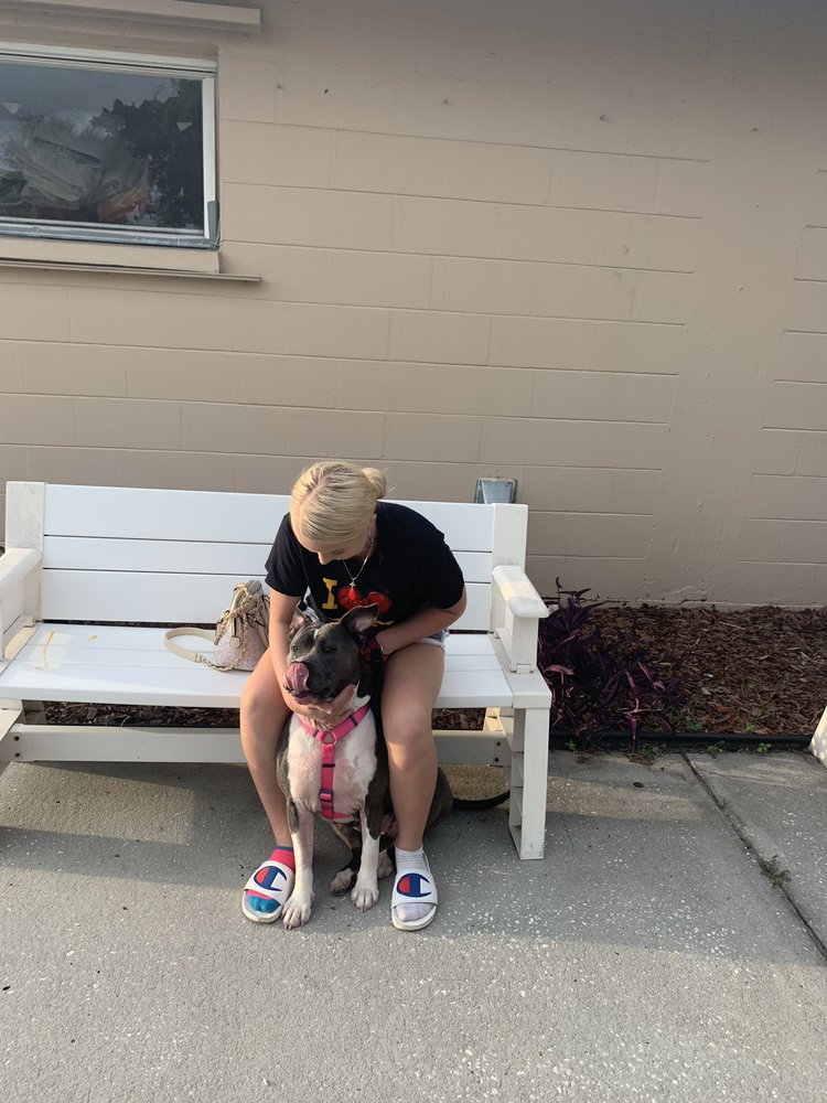 SPCA SUNCOAST 18 Reviews 7734 Congress St, New Port Richey, Florida