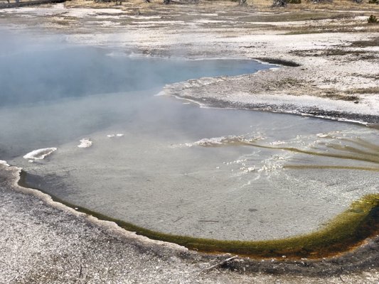 Biscuit Basin by null