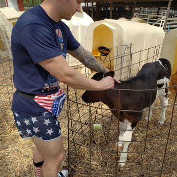 Perrydell Farm and Dairy - Ice Cream & Frozen Yogurt Near Me - York, Pennsylvania