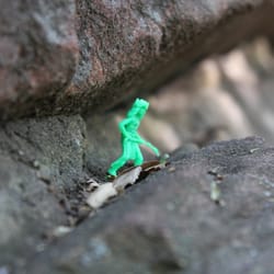 Santa Barbara Day Hike Company - Guardian of the forest!