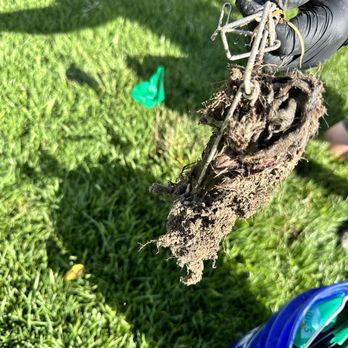 Gopher Wars - Pest Control Near Me - Anaheim, California Gopher Wars - Pest Control Near Me - Anaheim, California