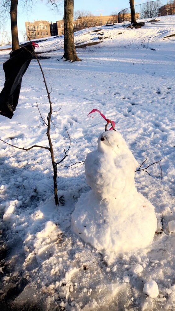 Slide of DDS Mechanical