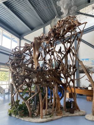 North Carolina Estuarium by null