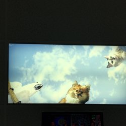 Bernardita N. Lizan, DMD - "Skylight" above your chair will either calm you or give you the creeps. TV above as well though. But animals staring....