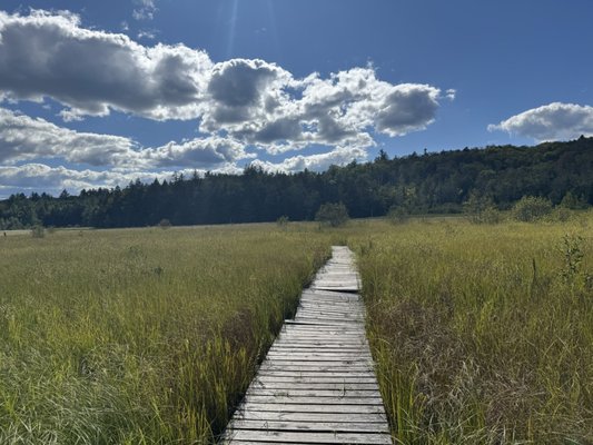 Mountain Top Arboretum by null