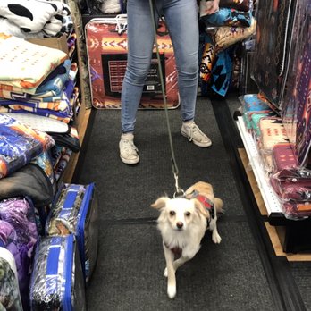 Midland Tarp Zone - Dog in store - Home & Garden Near Me - Nanaimo, British Columbia Midland Tarp Zone - Dog in store - Home & Garden Near Me - Nanaimo, British Columbia