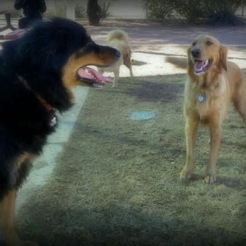Tempe Sports Complex - Dog Parks Near Me - Tempe, Arizona Tempe Sports Complex - Dog Parks Near Me - Tempe, Arizona