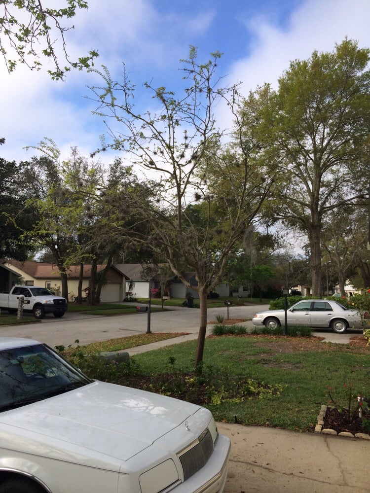 THE COUNTRY CLUB AT DEER RUN Updated May 2024 12 Reviews 300