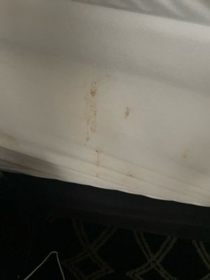 Ramada Plaza by Wyndham West Hollywood Hotel & Suites by null