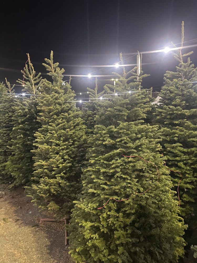 MIKEY’S CHRISTMAS TREES Updated August 2024 14 Photos 3500 El