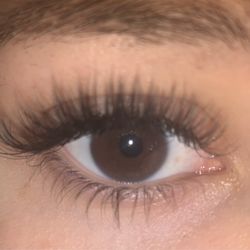 Prestige Lash Studio