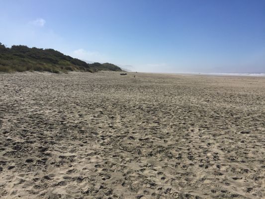 Beachside State Park by null