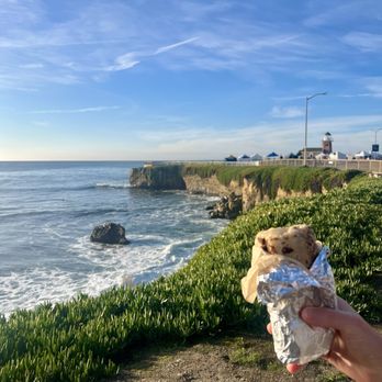Steamer Lane Supply - Breakfast burrito - Cafes Near Me - Santa Cruz, California Steamer Lane Supply - Breakfast burrito - Cafes Near Me - Santa Cruz, California