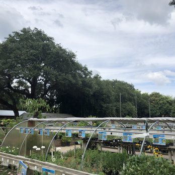 Rainbow Gardens - Nurseries & Gardening Near Me - San Antonio, Texas