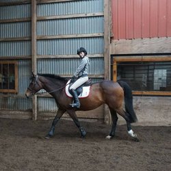 Legacy Equestrian Center - Cooling out with a smile after a great lesson.