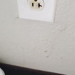 painted over black mold painted over black mold