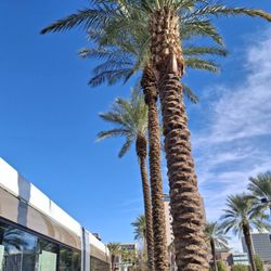 Bonneville Transit Center