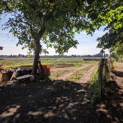 Choy and Kae Family Farm