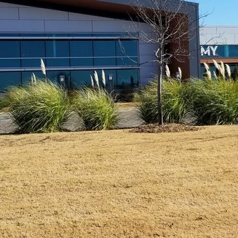 Immy - Diagnostic Services Near Me - Norman, Oklahoma Immy - Diagnostic Services Near Me - Norman, Oklahoma