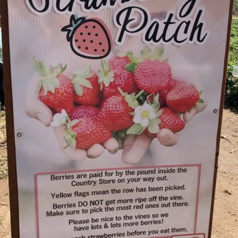 Mortimer Farms - Attraction Farms Near Me - Dewey, Arizona Mortimer Farms - Attraction Farms Near Me - Dewey, Arizona