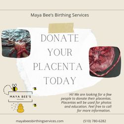 Maya Bee's Birthing Services - Think about Donating