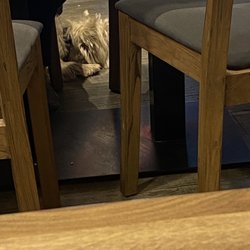 Café Tine - Köter erlaubt