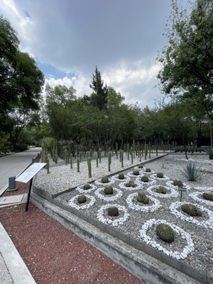 Jardín Botánico del Bosque de Chapultepec by null