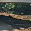 Indian Creek Greenway gift card