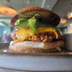 1905 Bar & Grill - Bucklin Chicken Sandwich!!