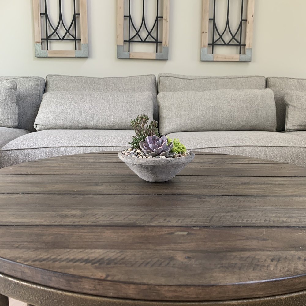 Koetsier's Greenhouse - Succulent bowl $20 - Nurseries & Gardening Near Me - Grand Rapids, Michigan